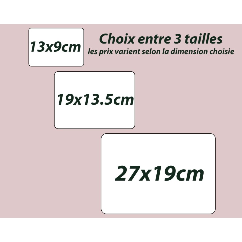 Plaque de Porte Personnalisable cadeau Maîtresse enseignant Fleurie bois ou plexi