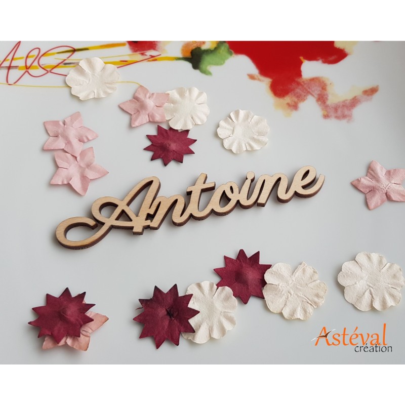 Marque place prénom en bois personnalisé - Mariage, Baptême, ou Anniversaire - baby shower- Décoration de table